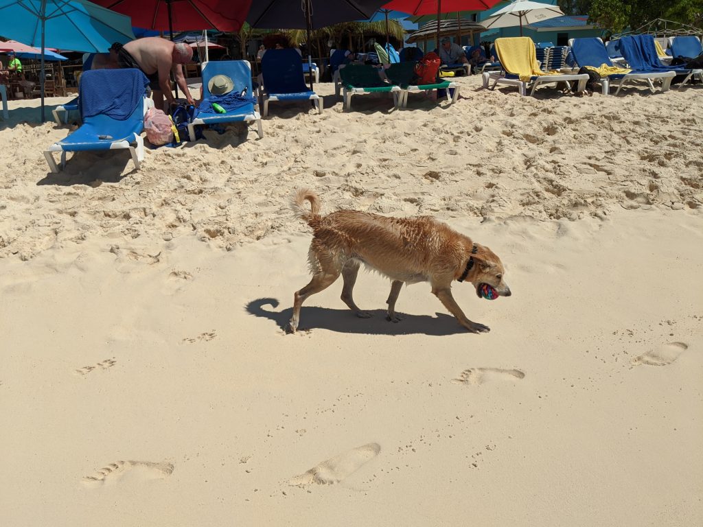 The free beach at Jack Shack at Grand Turk