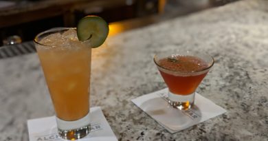 carnival cruise drink packages