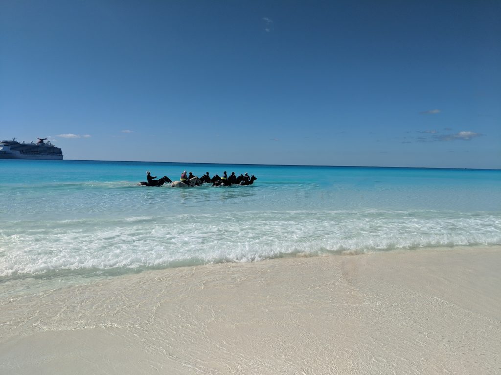 Half Moon Cay Horseback Riding