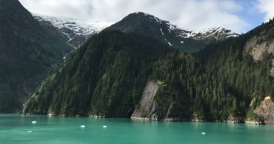 View of mountains in Alaska from a cruise ship balcony
