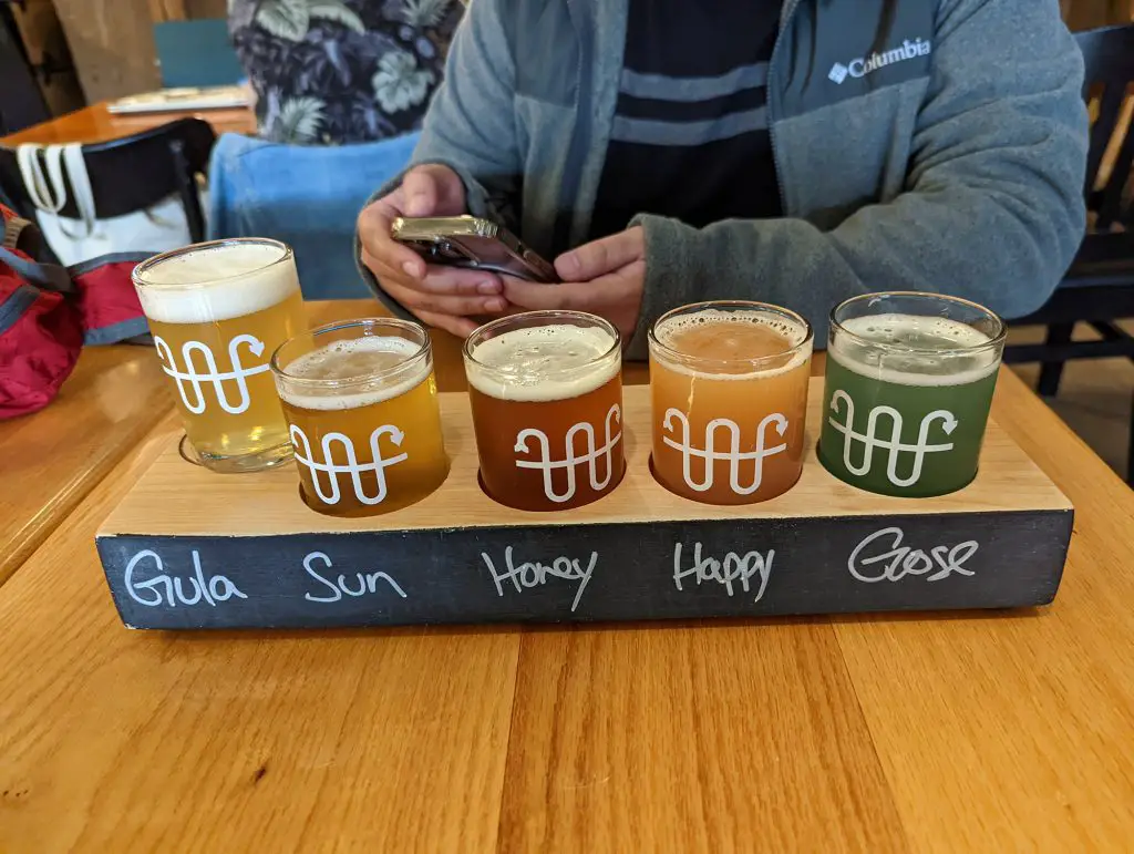 flight of beers from whistle buoy brewing company