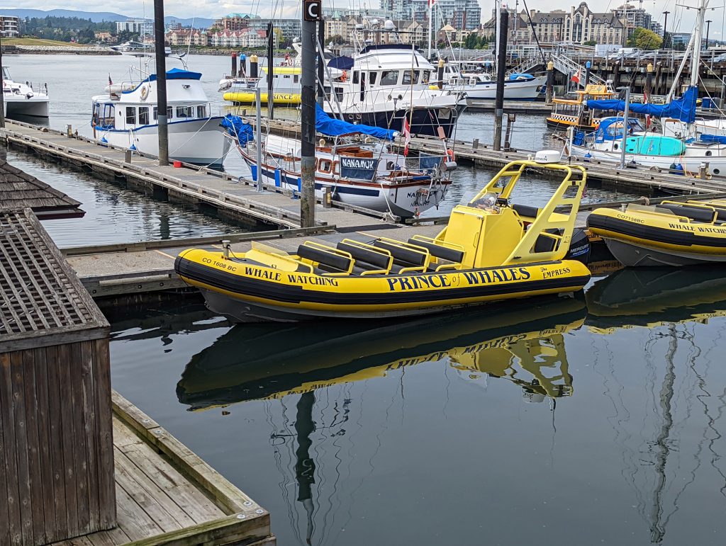 prince of whales zodiac boat in Victoria bc