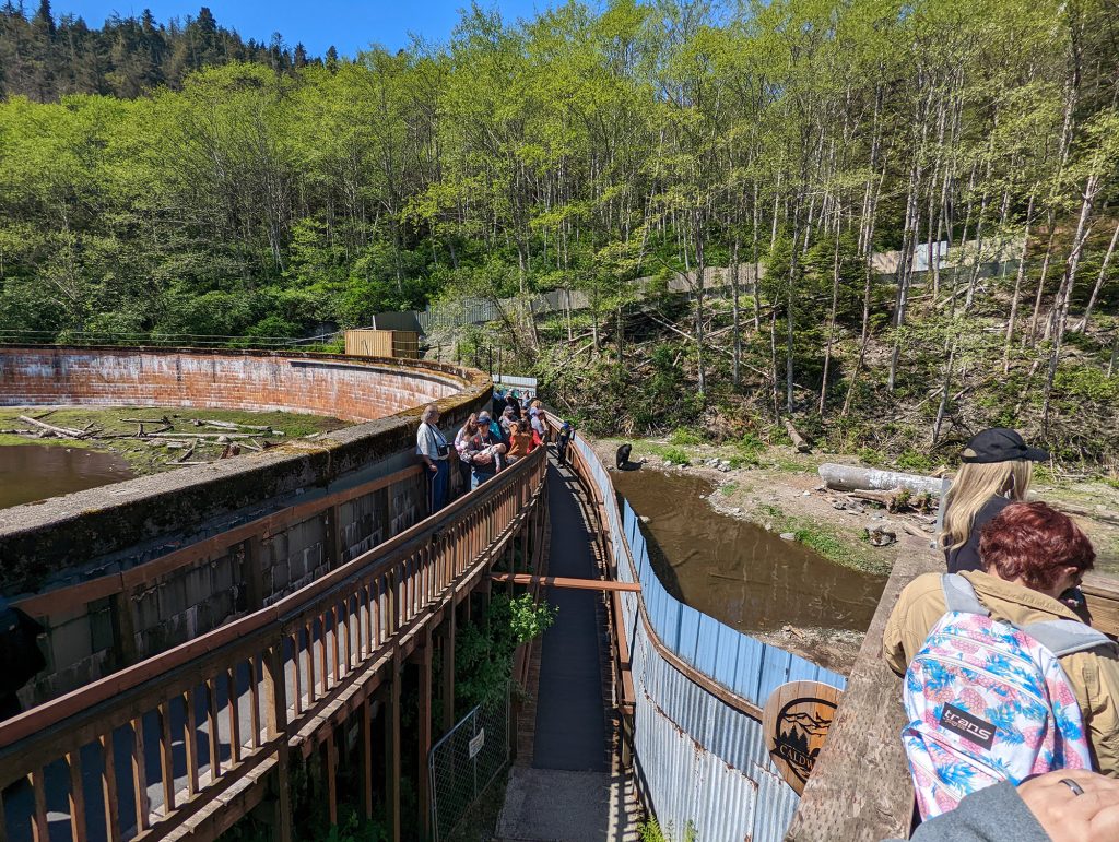 fortress of the bear walkway