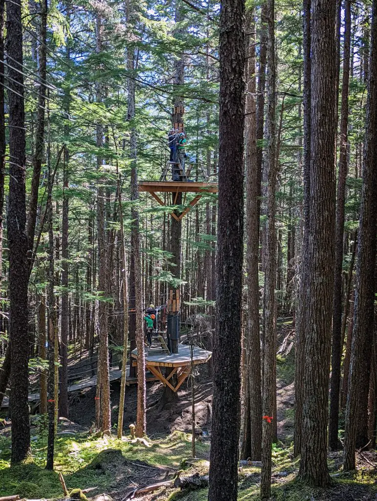 zipline tower at grizzly falls