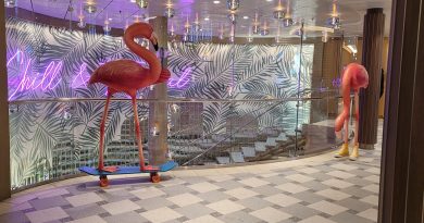 two pink flamingo statues in the 820 biscayne zone on carnival celebration