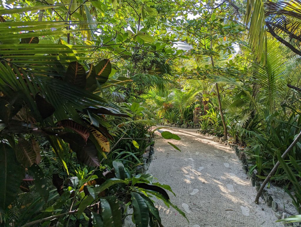 walkway into Maya Chan