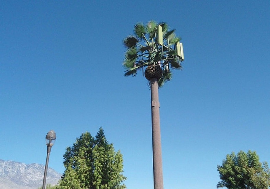 cell phone tower tree