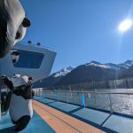 panda on ovation of the seas in alaska