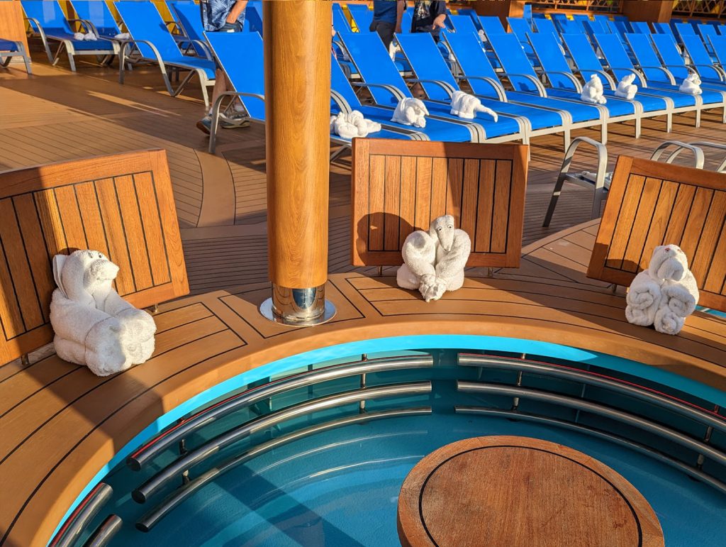 towel animals on a cruise ship