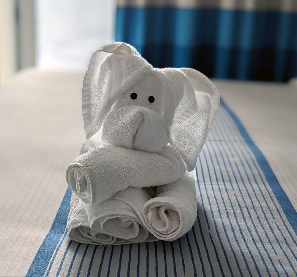 towel animal on a carnival ship