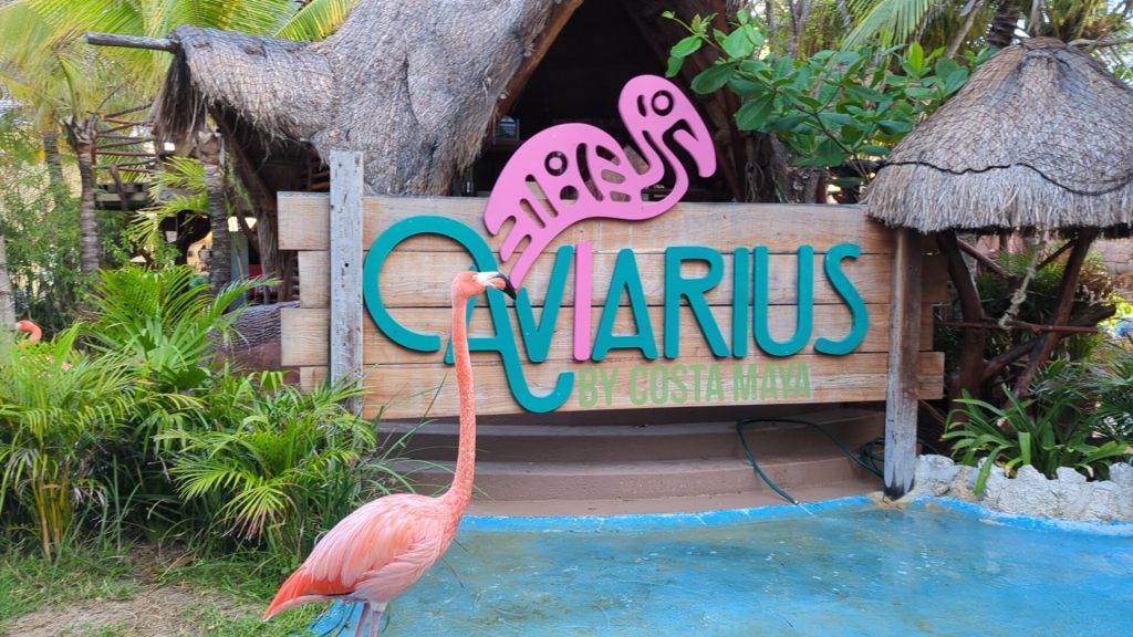 aviary entrance in costa maya port