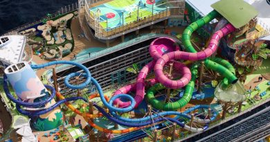 icon of the seas category 6 waterpark
