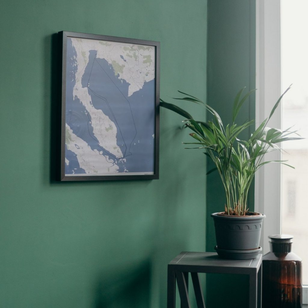 framed cruise map on a green wall