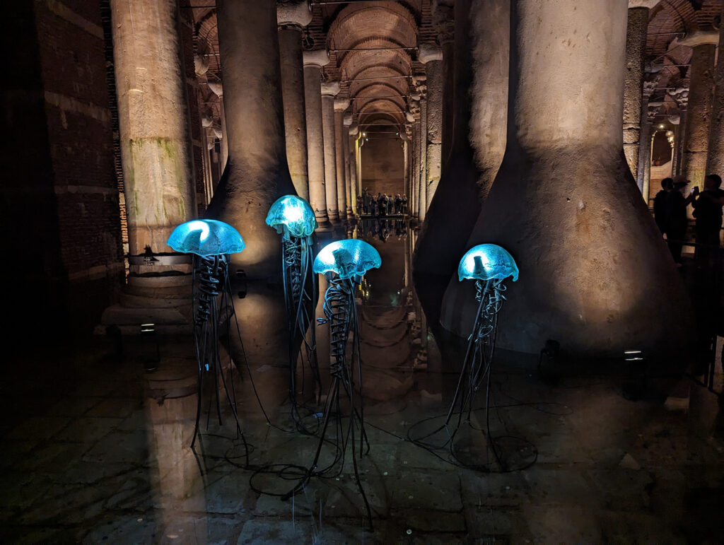 jellyfish in the basilica cistern