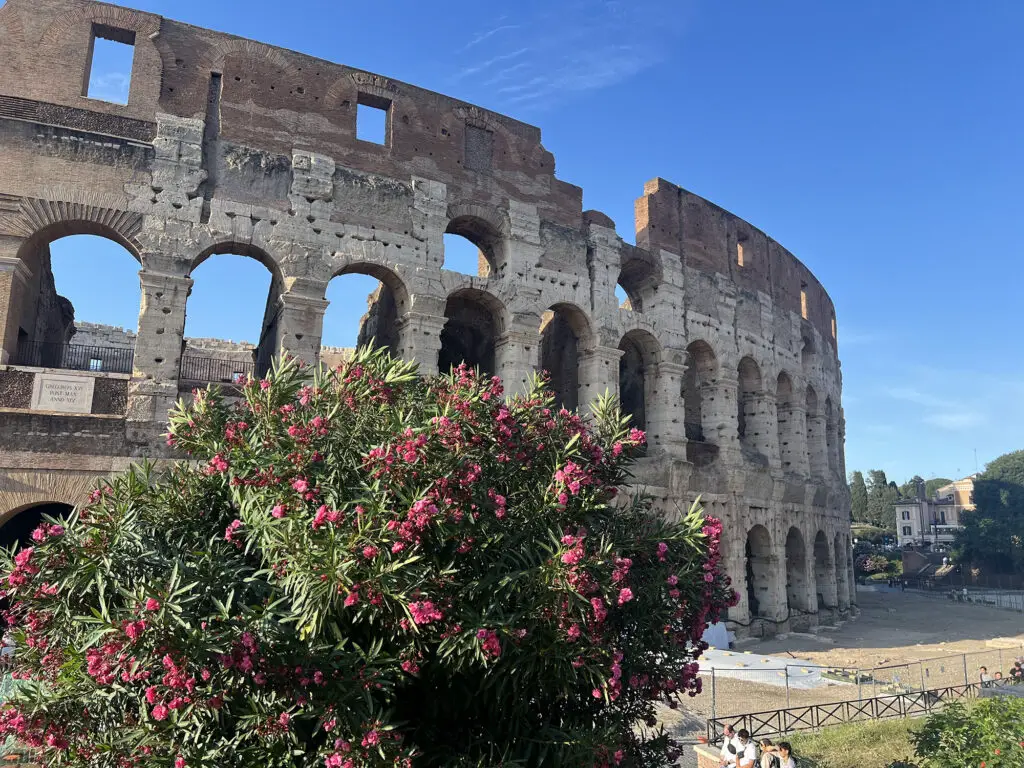 rome colosseum with flowers