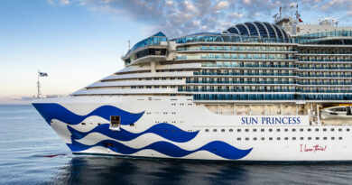 sun princess cruise ship on ocean