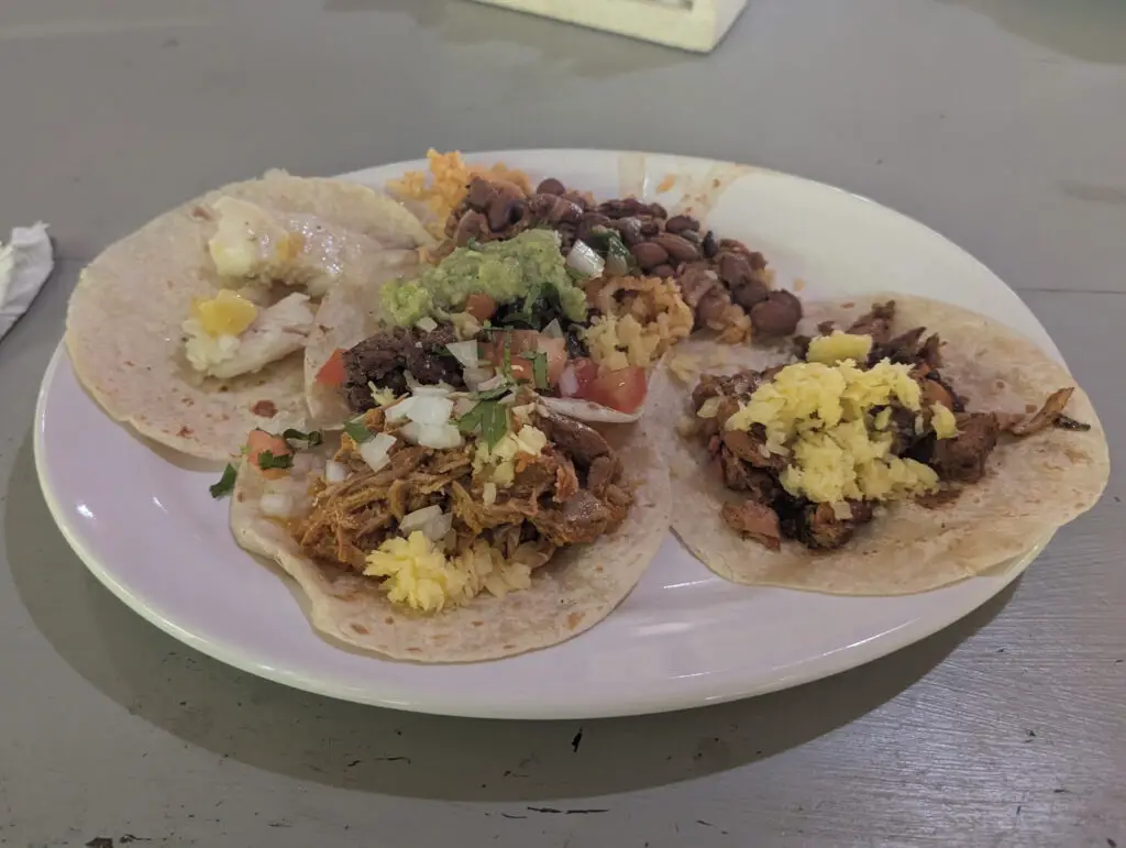 tacos from maya chan