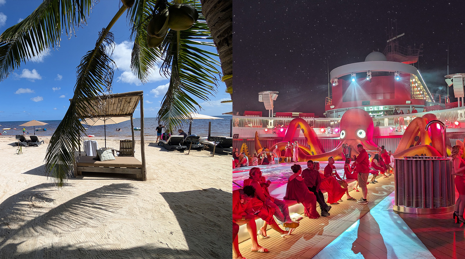 costa maya and scarlet night