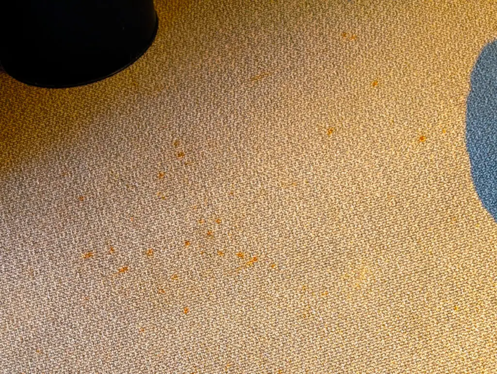 stains on cabin floor on valiant lady