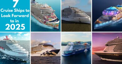 cruise ships for 2025