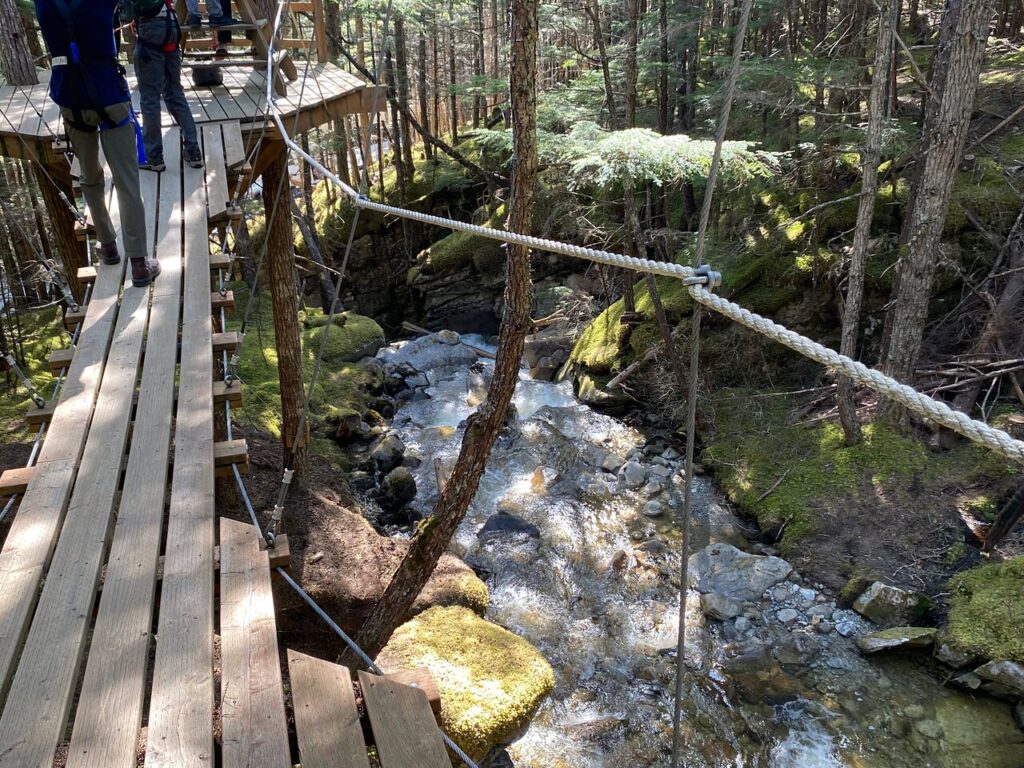 grizzly falls path