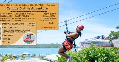 carnival ticketless excursion header