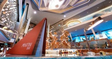 celebrity beyond martini bar and menu