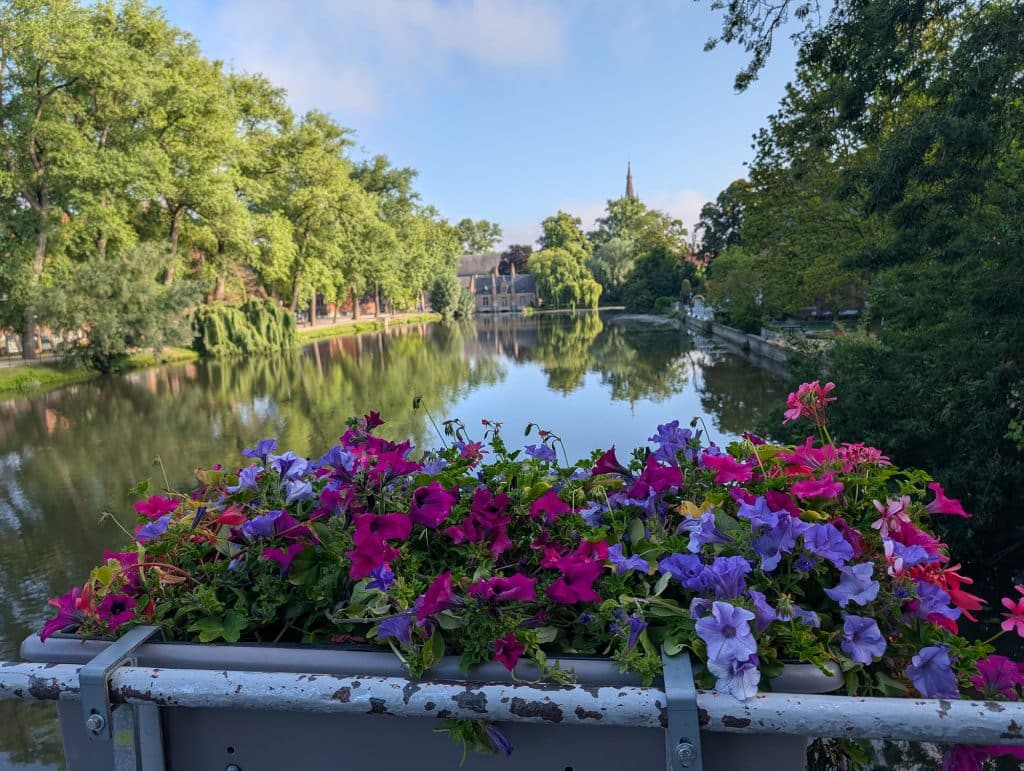bruges flower box