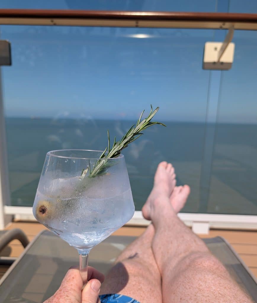 Mediterranean gin and tonic