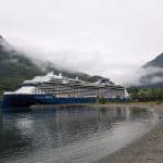 celebrity apex in flam