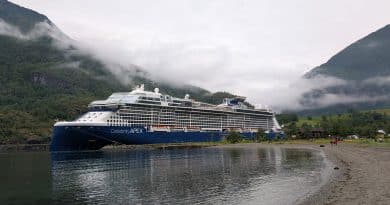 celebrity apex in flam