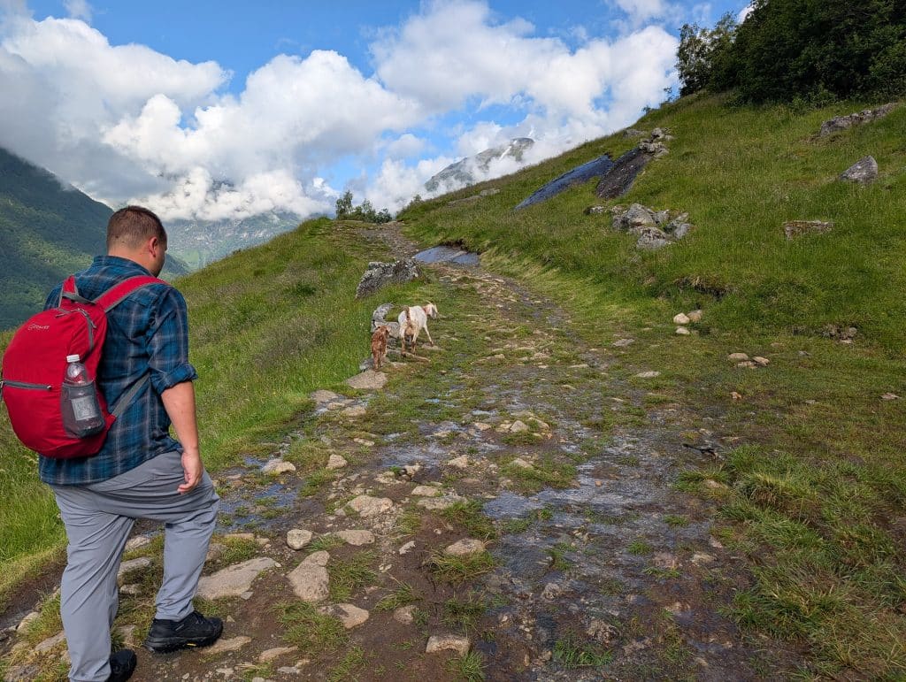 vesterasfjellet