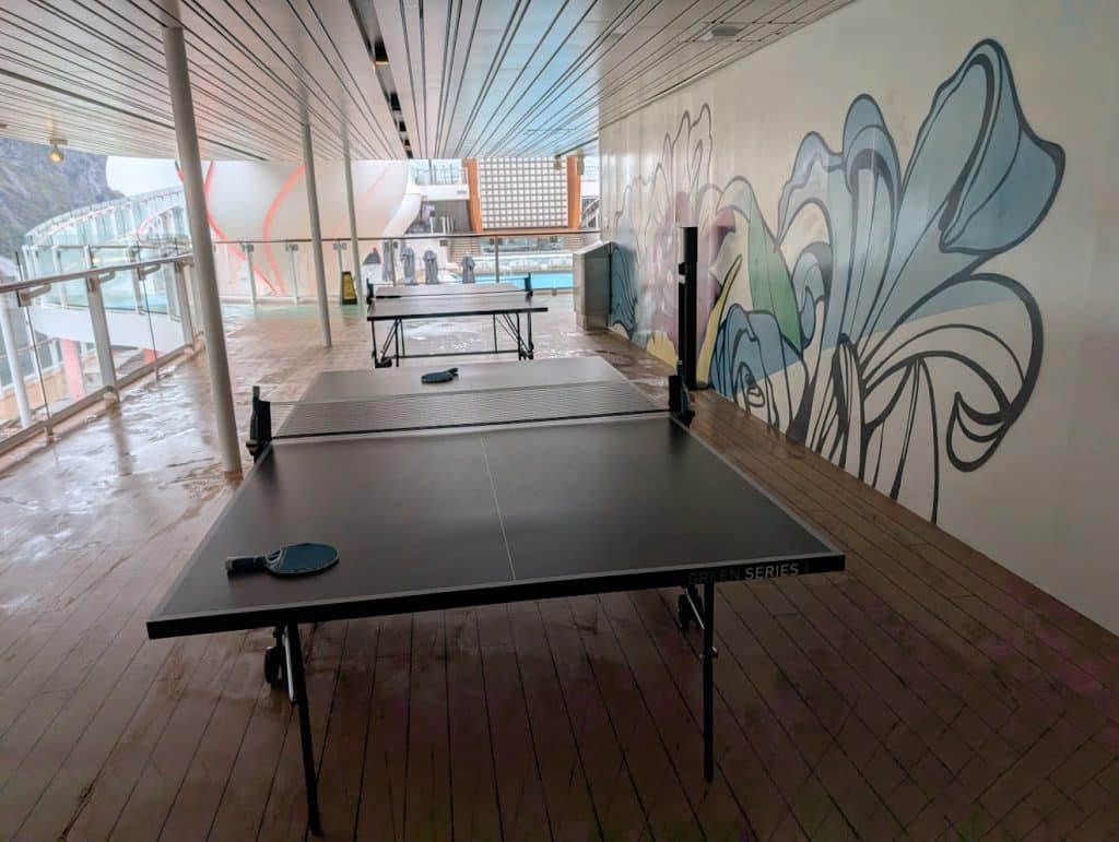 celebrity apex ping pong tables