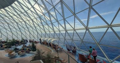 the overlook on star of the seas
