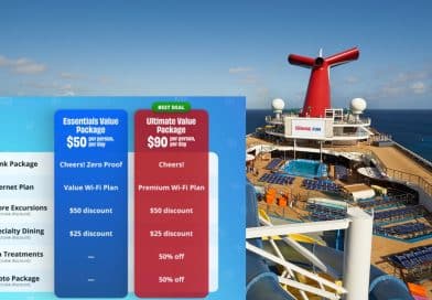 carnival package header