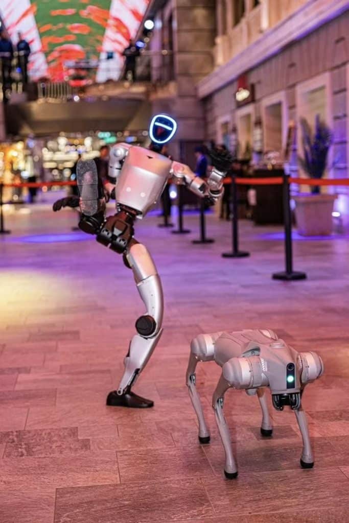 robot and robot dog on msc cruise ship