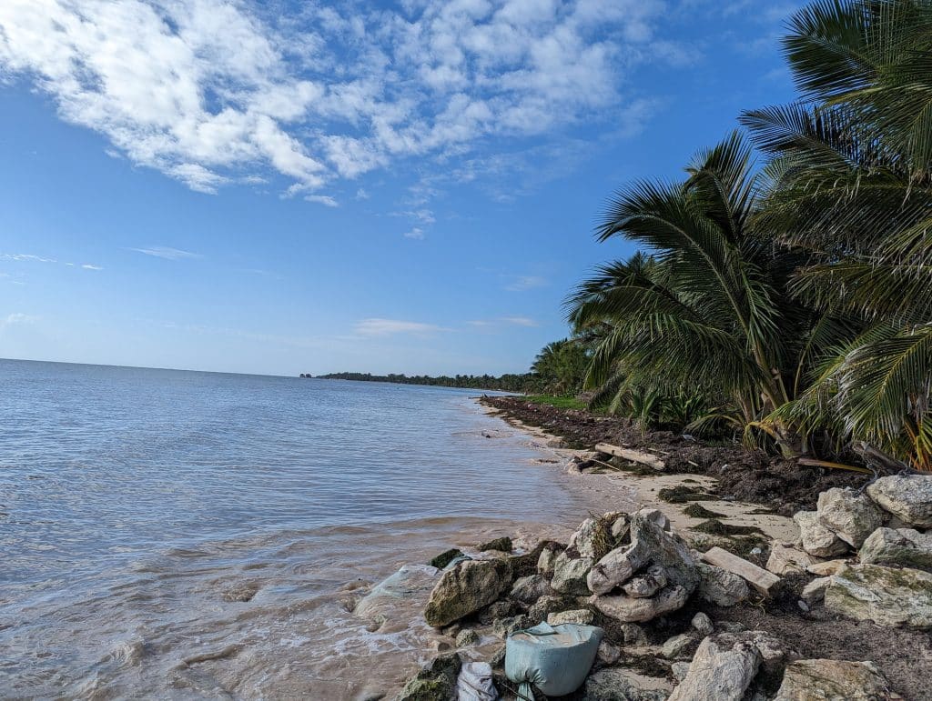 seawood on costa maya coast