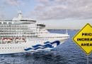 diamond princess with price increase sign