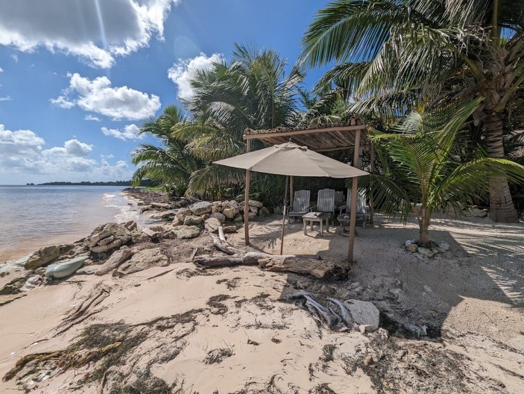 hut on beach with seaweed