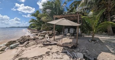 hut on beach with seaweed