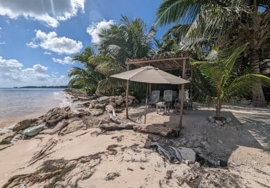hut on beach with seaweed