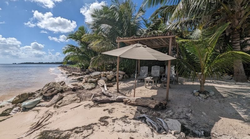 hut on beach with seaweed