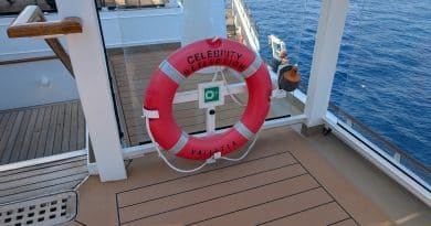 celebrity reflection life preserver
