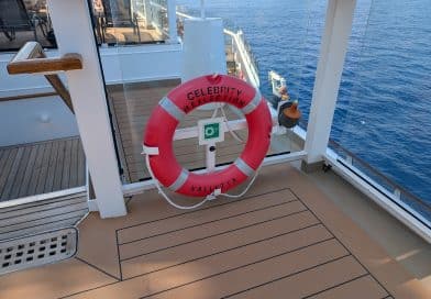 celebrity reflection life preserver