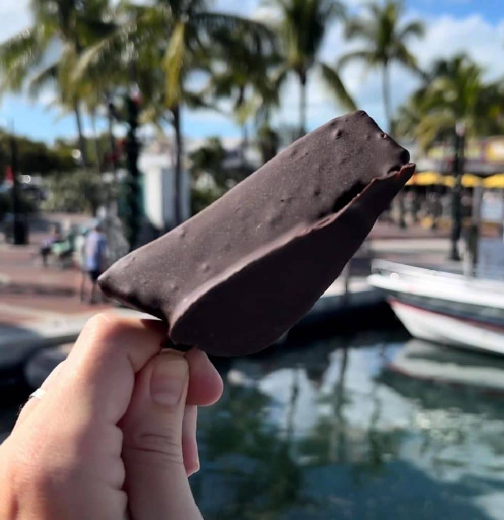 chocolate covered key lime pie