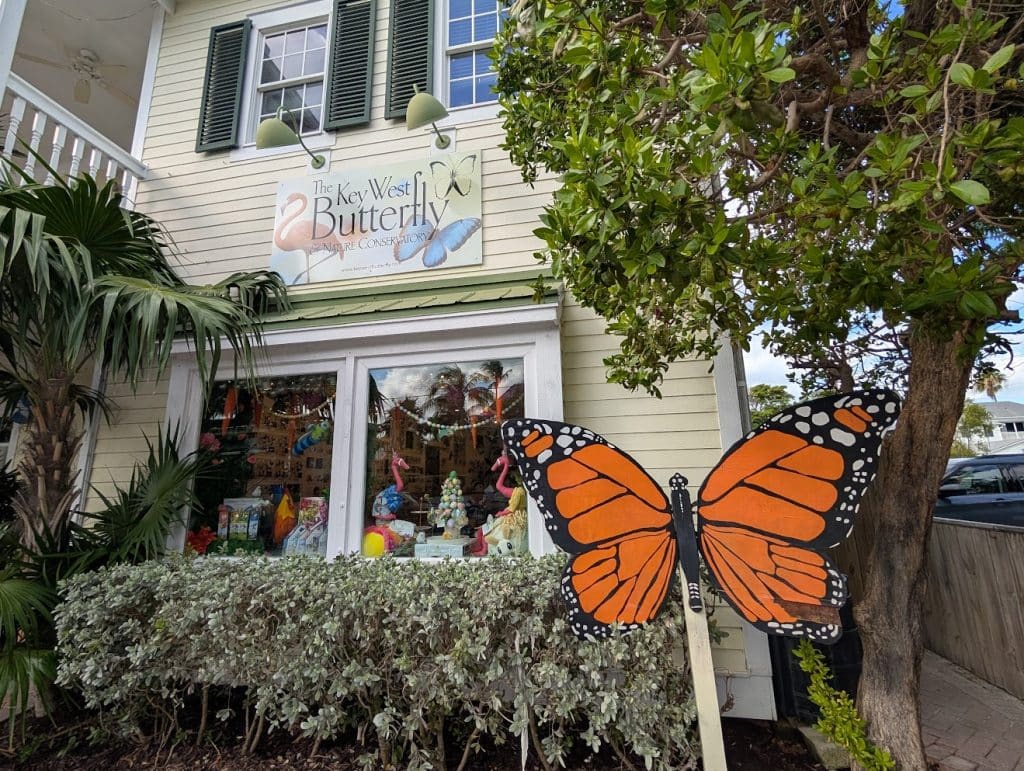 key west butterfly and nature conservatory