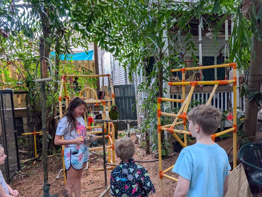 nancy forresters secret garden enrichment