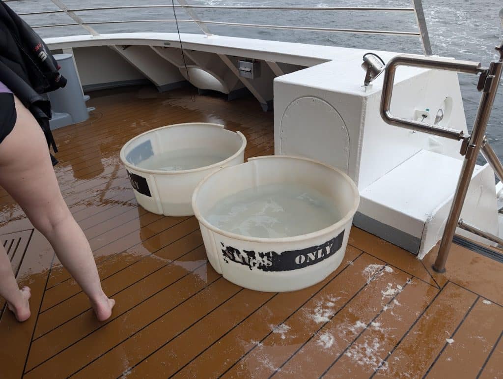 celebrity flora disinfecting tubs