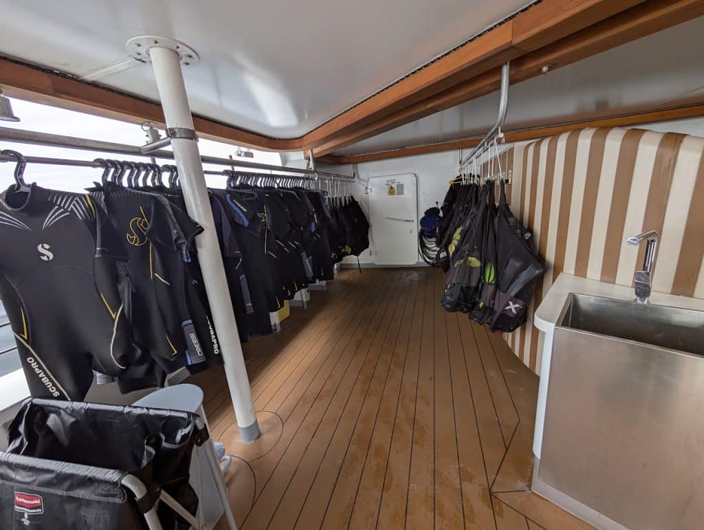 celebrity flora outfitting area