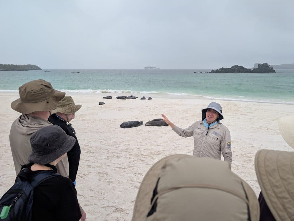 ivon explaining sea lions